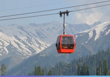 207261-untitled-design-91